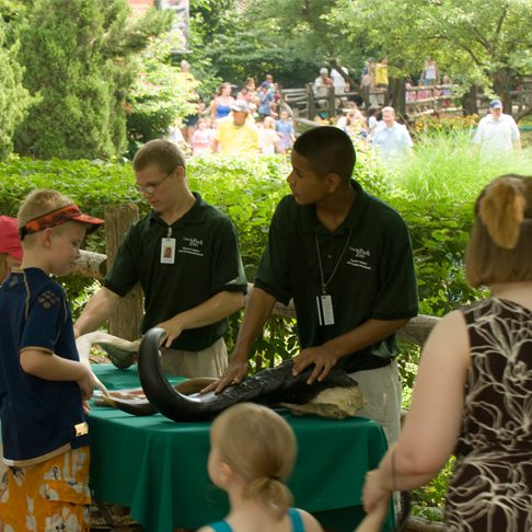 Zoo educators teaching guests about snakes