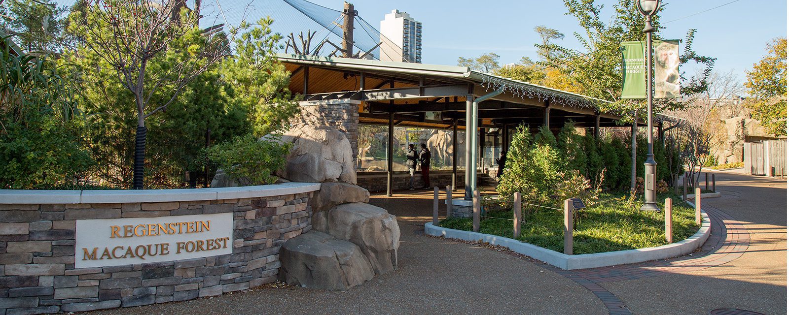 Regenstein macaque forest