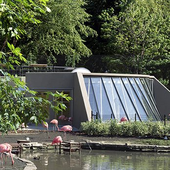 Waterfowl Lagoon indoors habitat