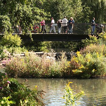 Nature Boardwalk