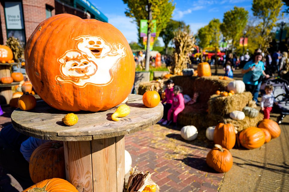 Fall Fest Presented by JewelOsco is Now Open at Lincoln Park Zoo
