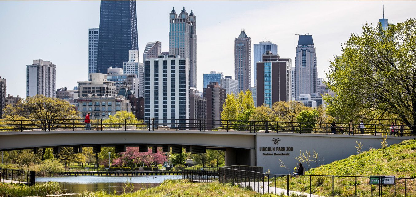 Nature Boardwalk with skyline view of Chicago skyscrapers