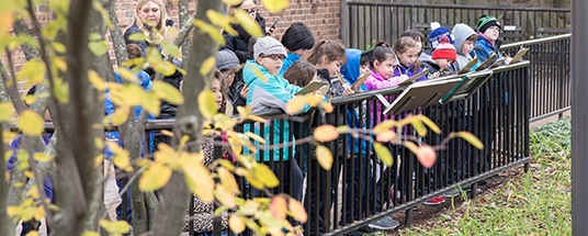 Children observing animals