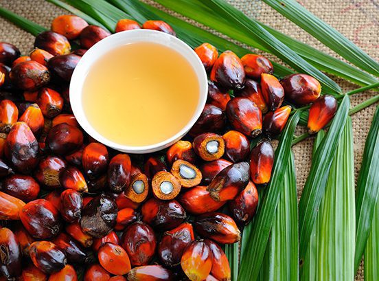 Sustainable Palm Oil