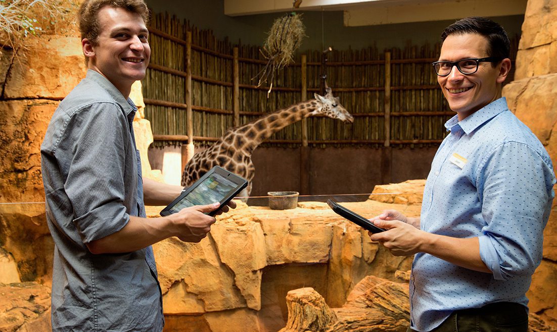 Zoo interns monitoring giraffe behavior in exhibit