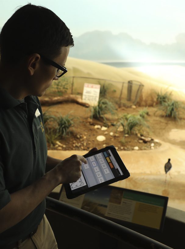 Animal Care staff monitor behavior of birds in exhibit