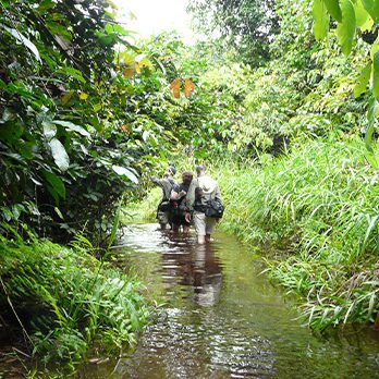 Zoo scientists trekking through the African rainforest