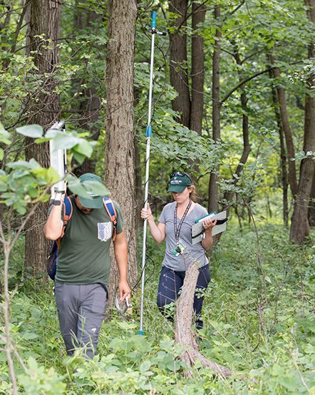 Zoo scientists walking through the woods