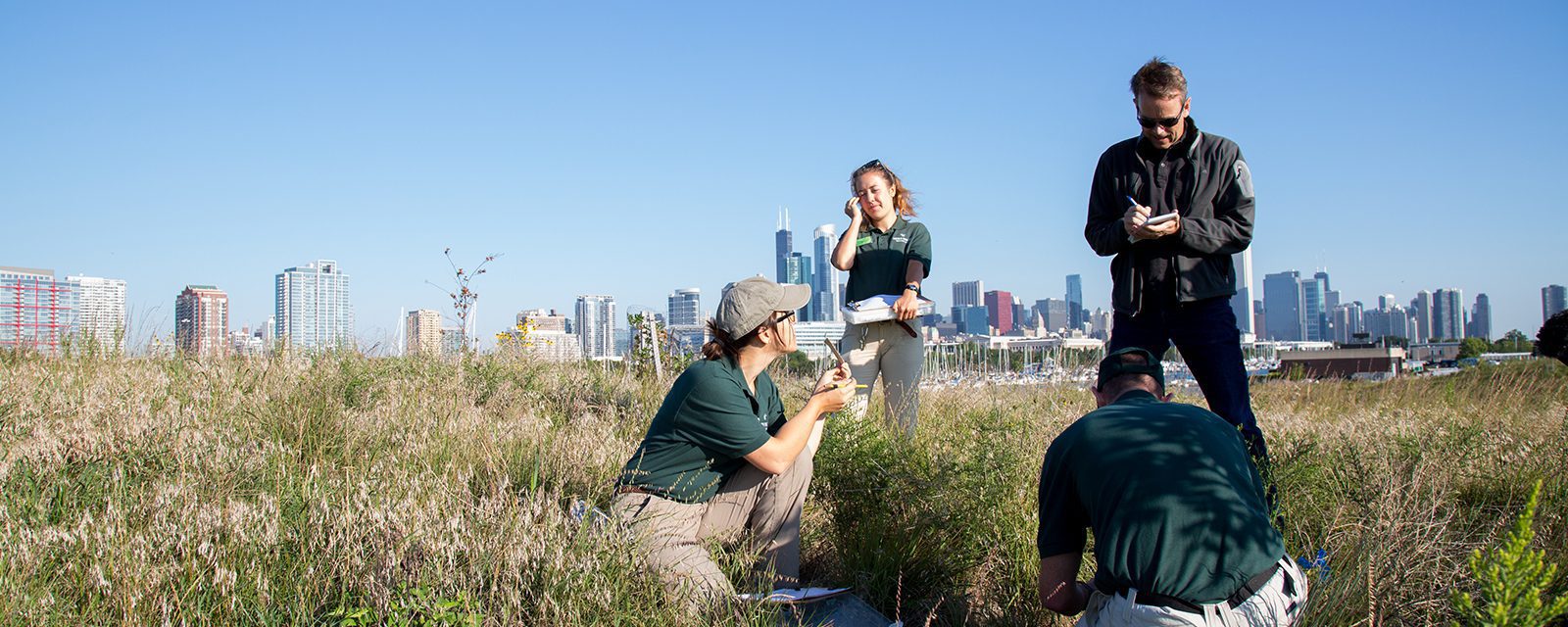 Zoo staff capturing field mice