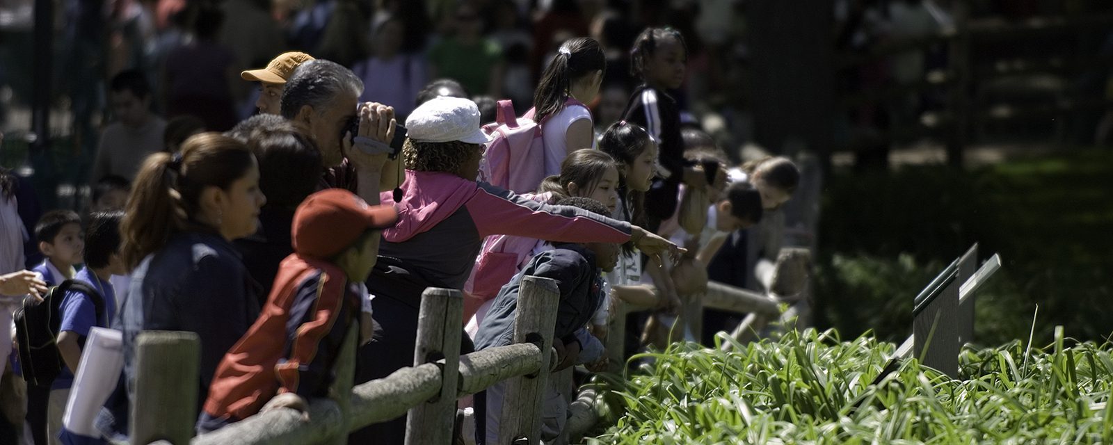 Visitors overlooking Waterfowl Lagoon