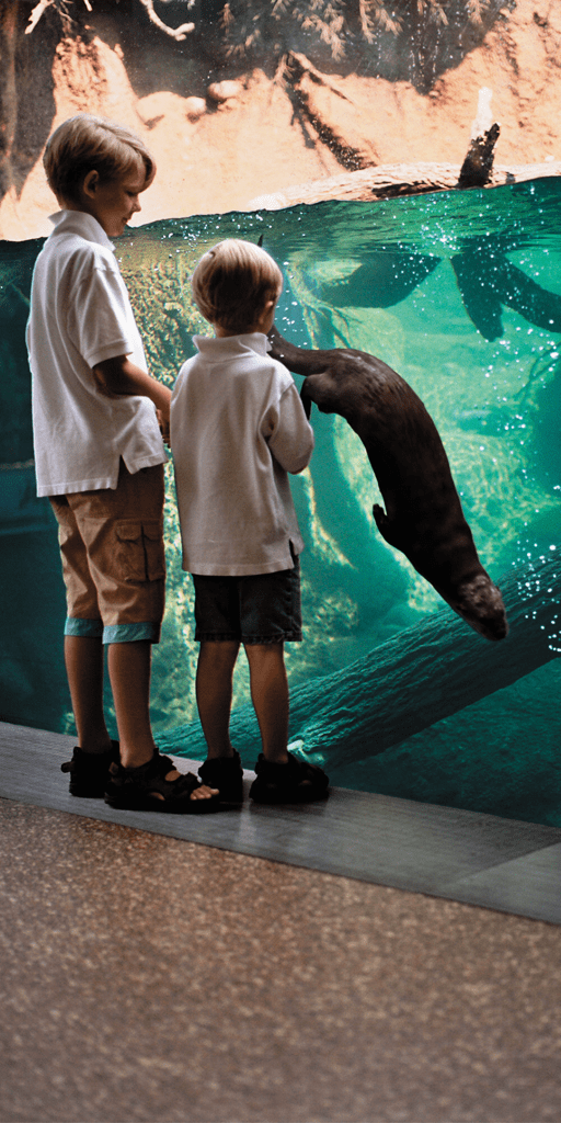 Children watching otters in exhibit