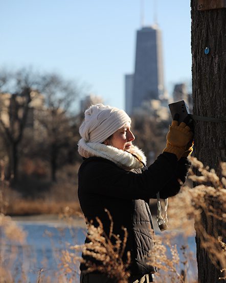 a zoo scientist setting up a motion-activated field camera