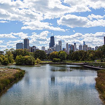 Nature Boardwalk with skyline view of Chicago skyscrapers