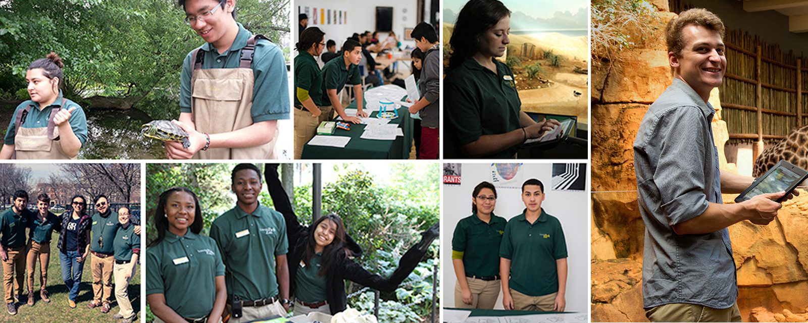 Interns performing various jobs for the zoo