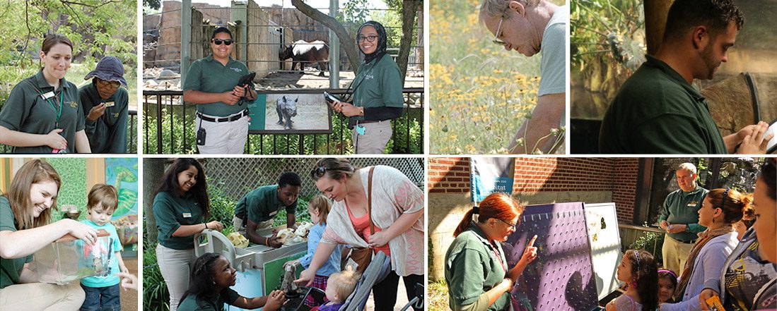 Volunteers perform various tasks to support the zoo