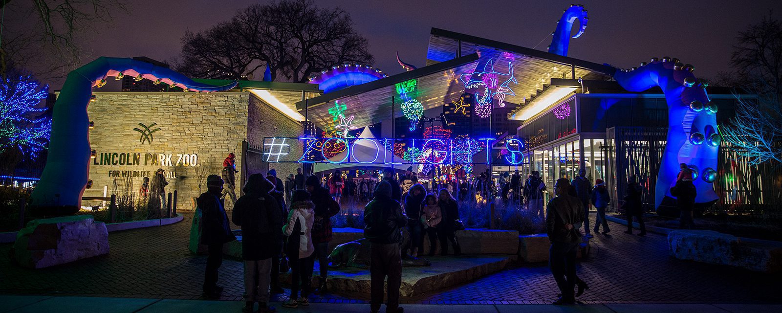 The East Gate light up during ZooLights, featuring a glowing sign spelling out "#ZooLights"