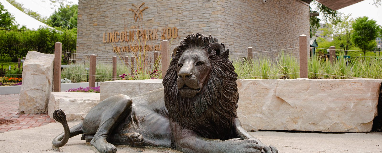 Lion statue near the zoo's East Gate