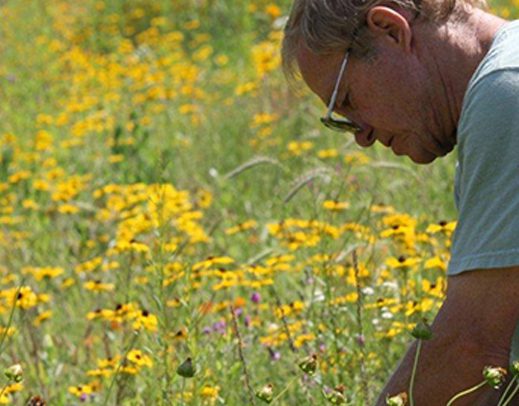 A volunteer gardening at Nature Boardwalk