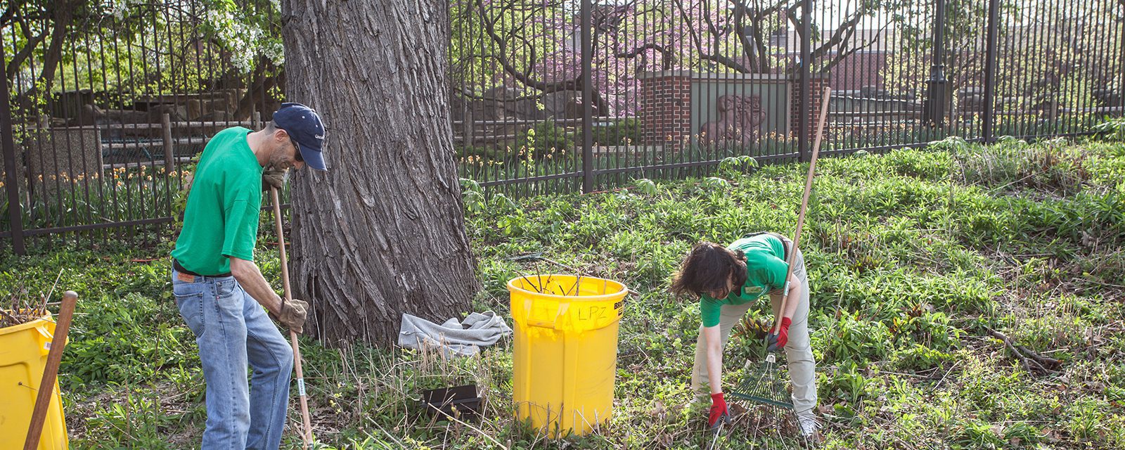 Horticulture volunteers working at the zoo