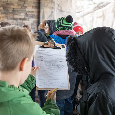 Children write down animal observations