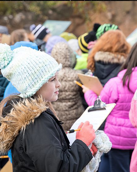 Children write down animal observations