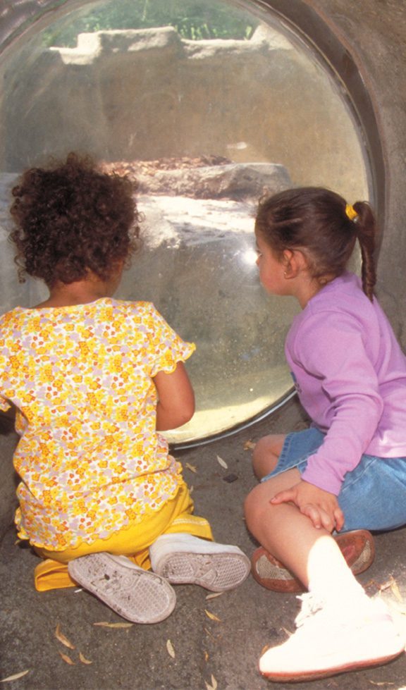 kids sitting on ground looking through glass at animals