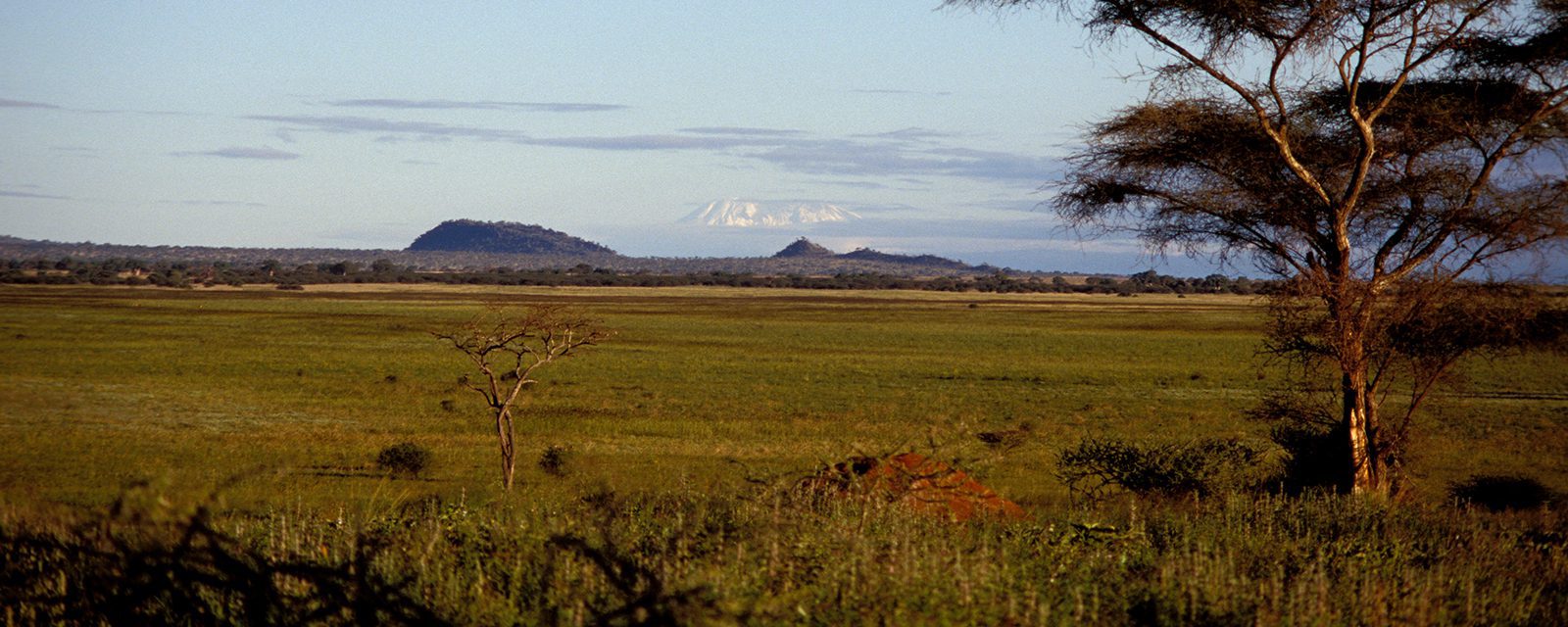 African landscape with Mount Kilimanjaro in the background.