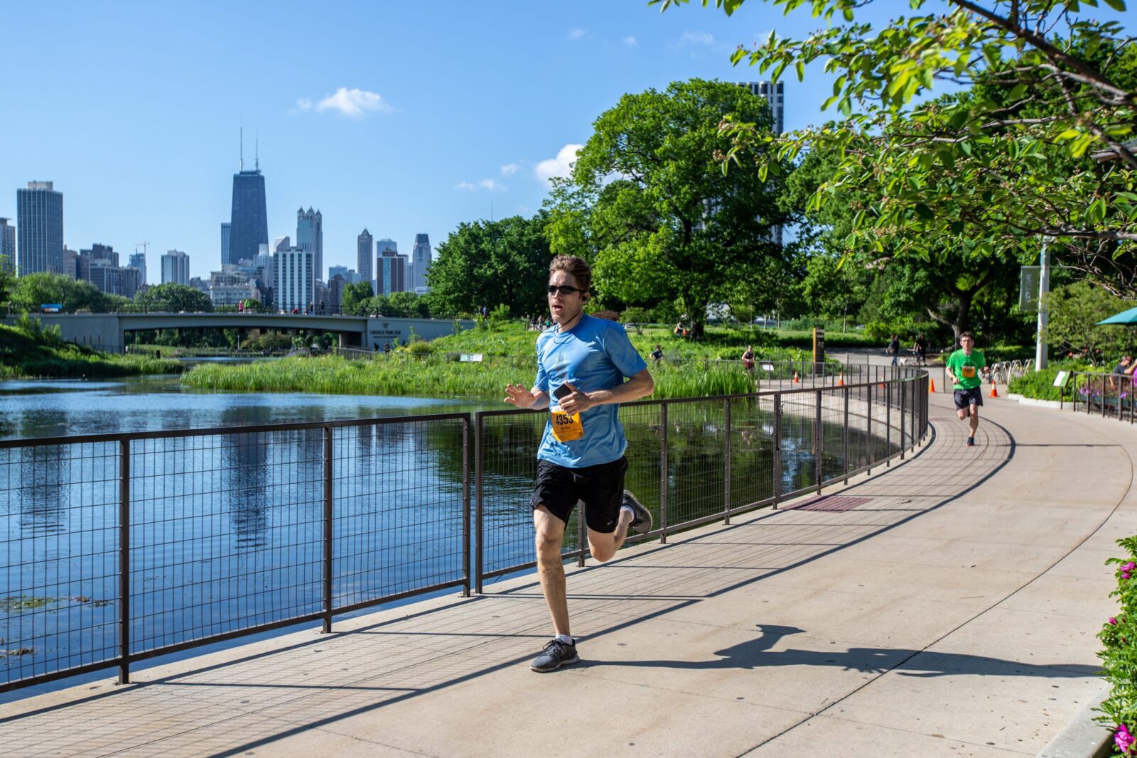 Run for Wildlife this June at Lincoln Park Zoo