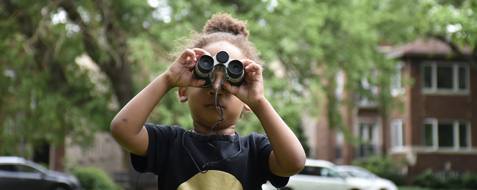 Summer – Hybrid  BioBlitz