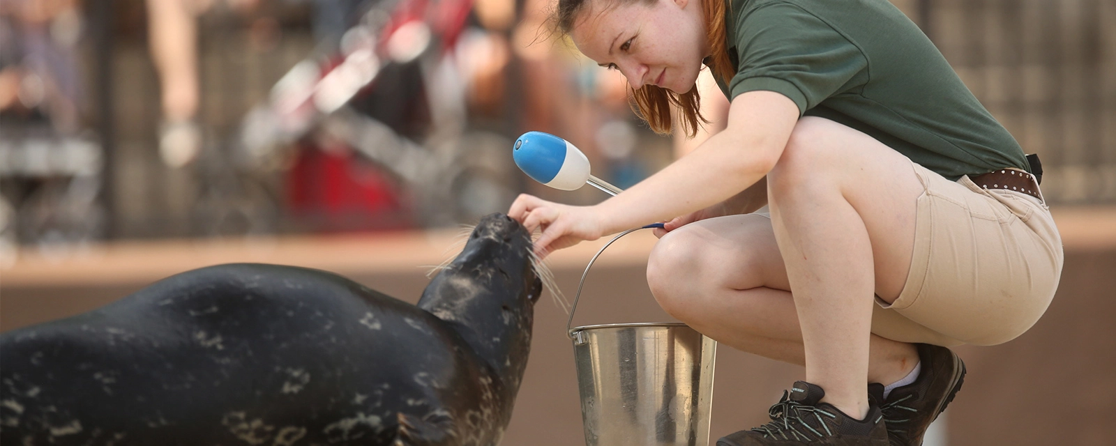 Positive Reinforcement Training