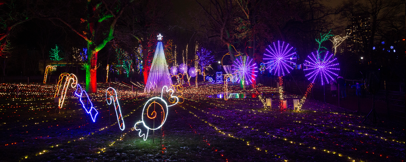 ZooLights Presented by ComEd and Invesco QQQ