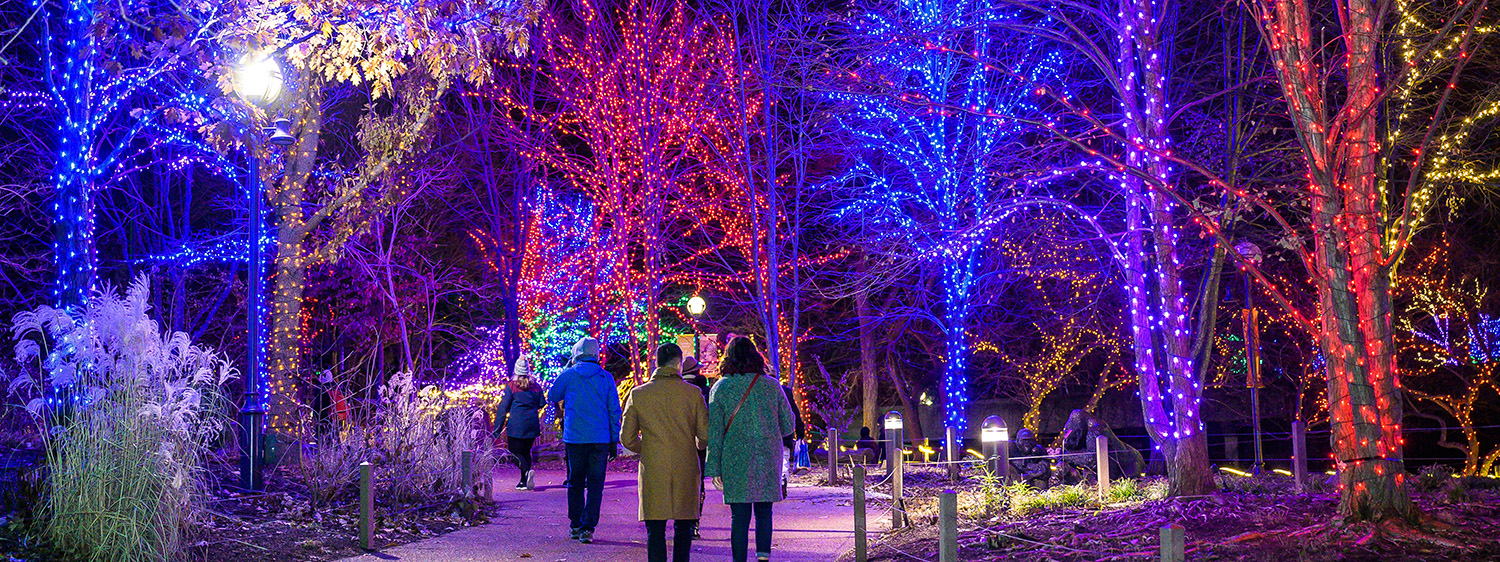ZooLights Presented by Invesco QQQ and ComEd
