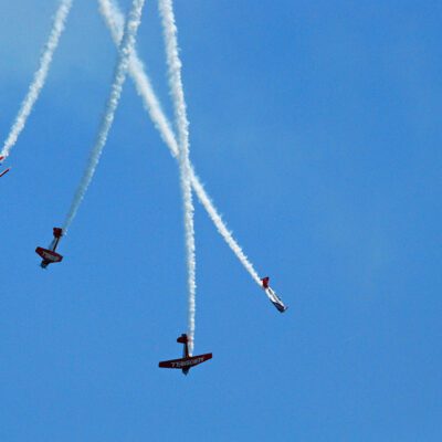 Sounds and Stressors: How Does the Air & Water Show Affect Zoo Primates?