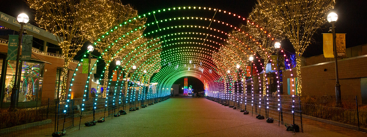 Sensory-Friendly Night at ZooLights Presented by Invesco QQQ and ComEd