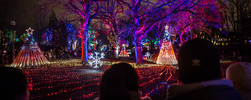 Sensory-Friendly Night at ZooLights Presented by ComEd and Invesco QQQ