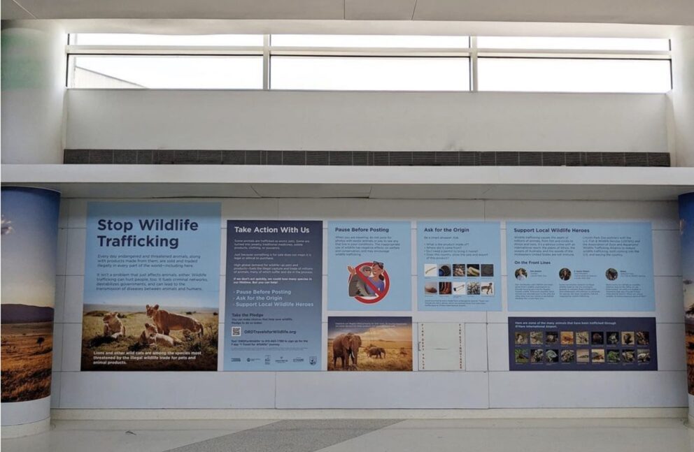 o'hare wildlife trafficking exhibit