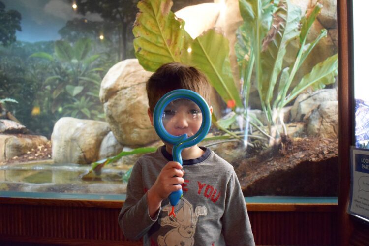 Child holding a magnifying glass.