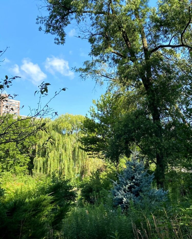 Lincoln Park Zoo plants