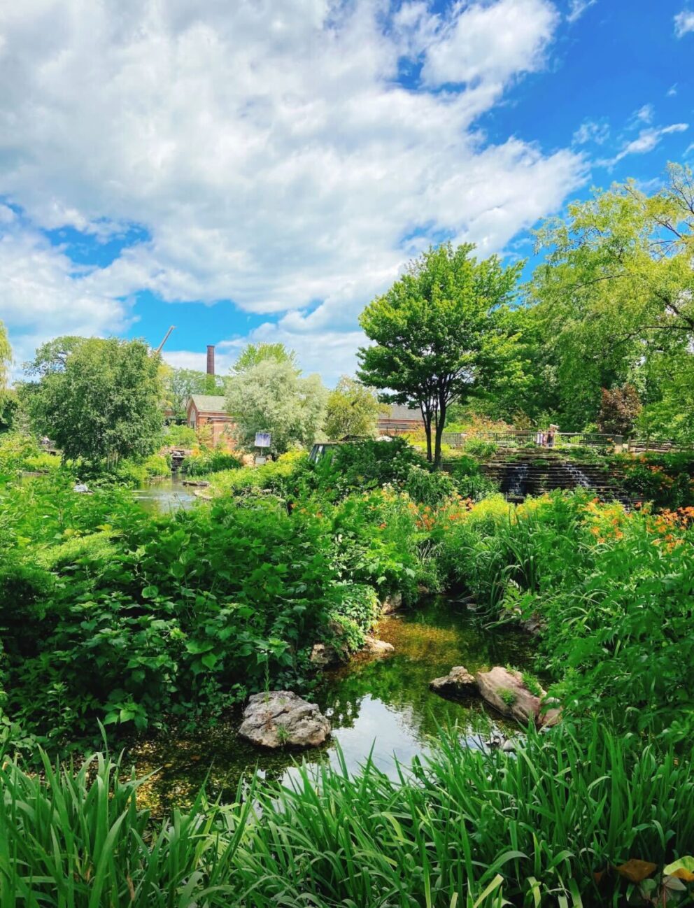 gardens at Lincoln Park Zoo