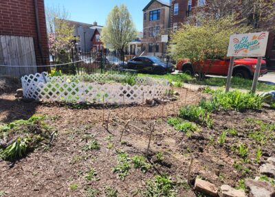 community garden uwi