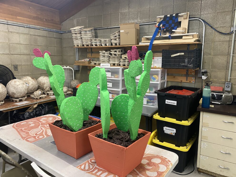 VEG room with cactus enrichment