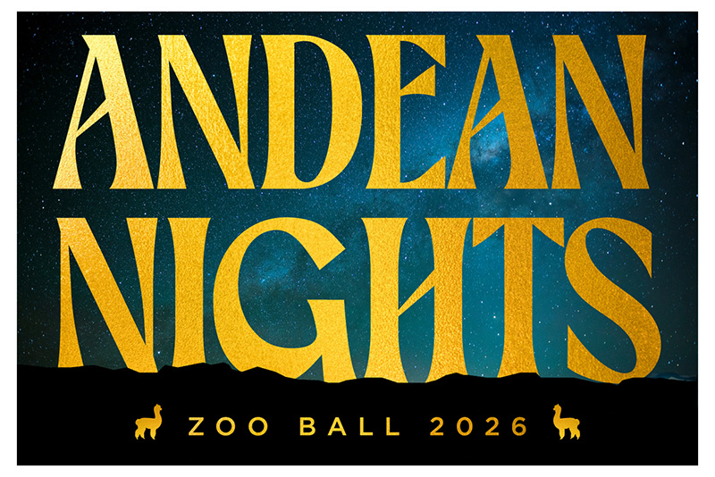 Andean Nights, Zoo Ball 2026
