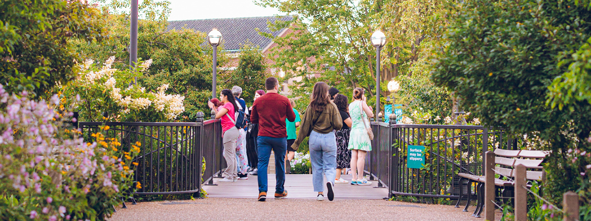 Sunset Garden Tours