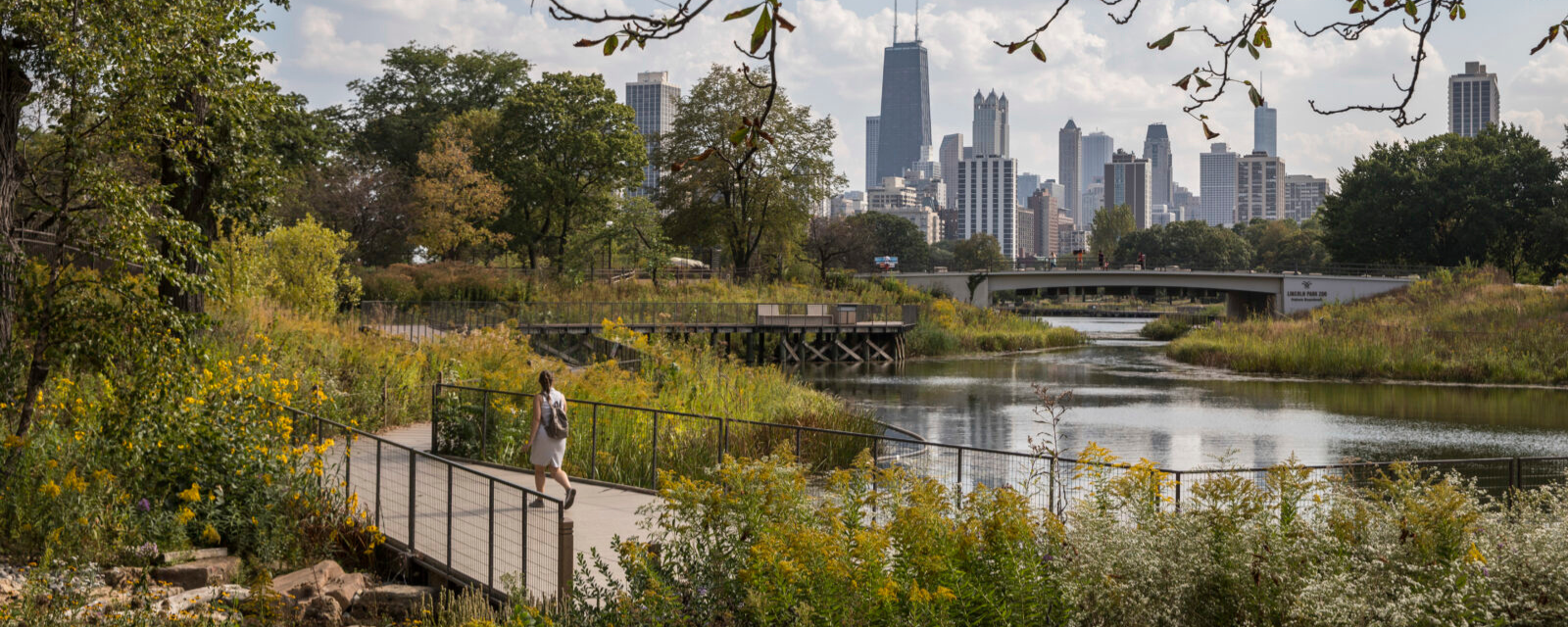 Lincoln Park Zoo Celebrates Earth Week: Backlot Coffee Partnership, Chicago Public Library Story Time, Arboretum Tour, and More
