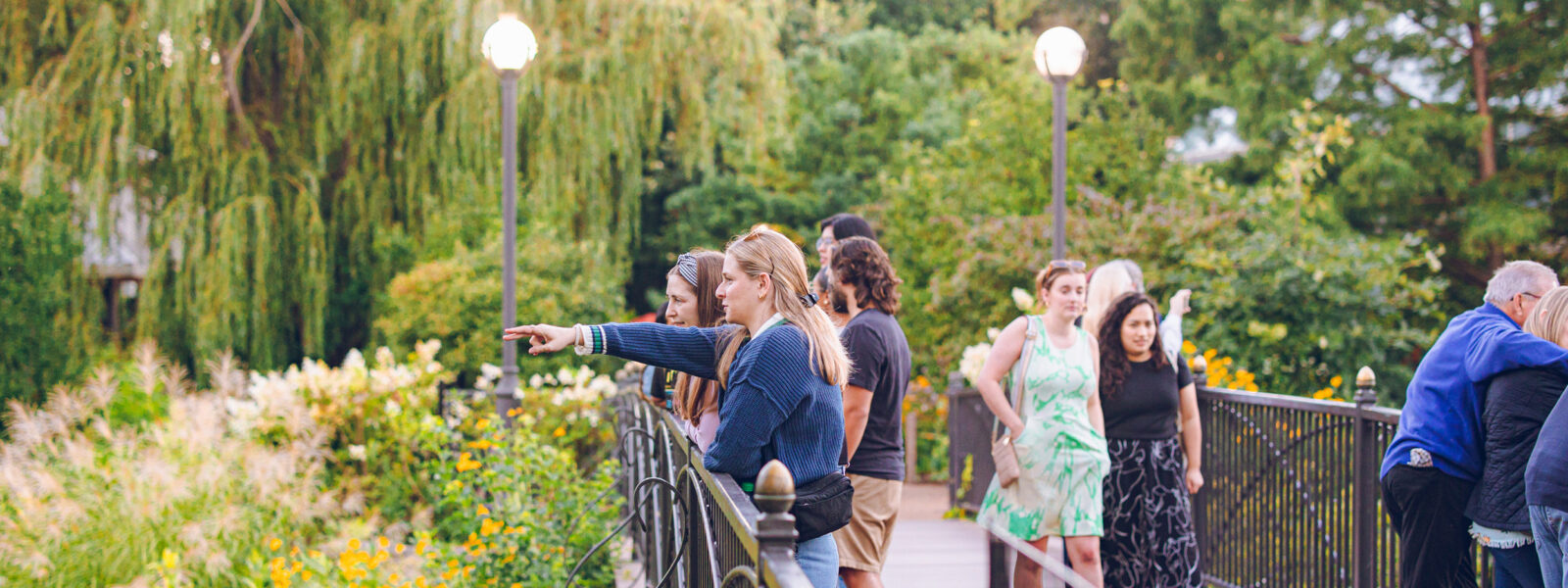 Adults Night Out: The Rewilding
