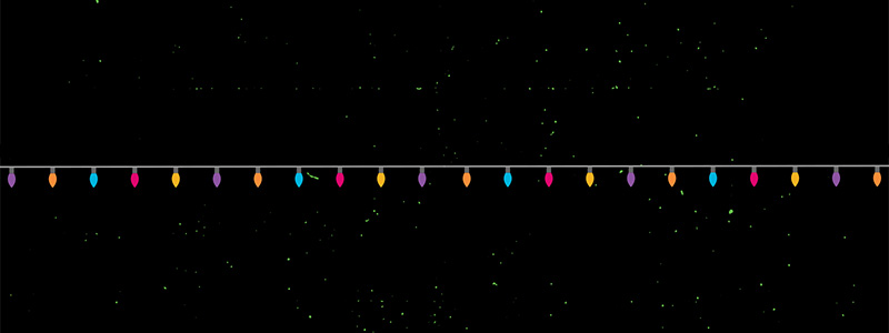 Elf Movie Party at ZooLights