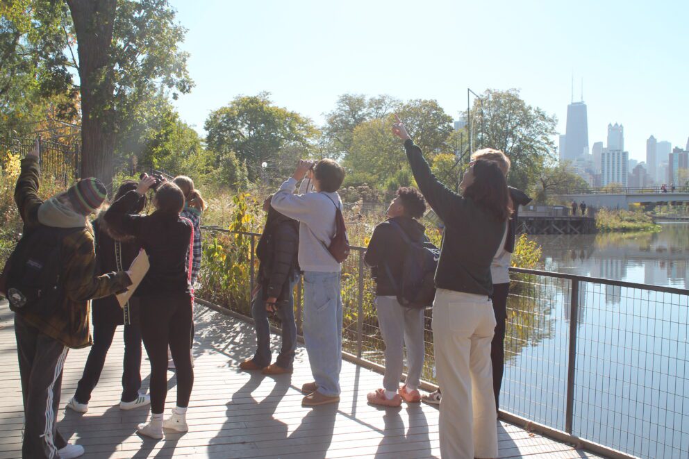 Partners in Fieldwork students at Nature Boardwalk