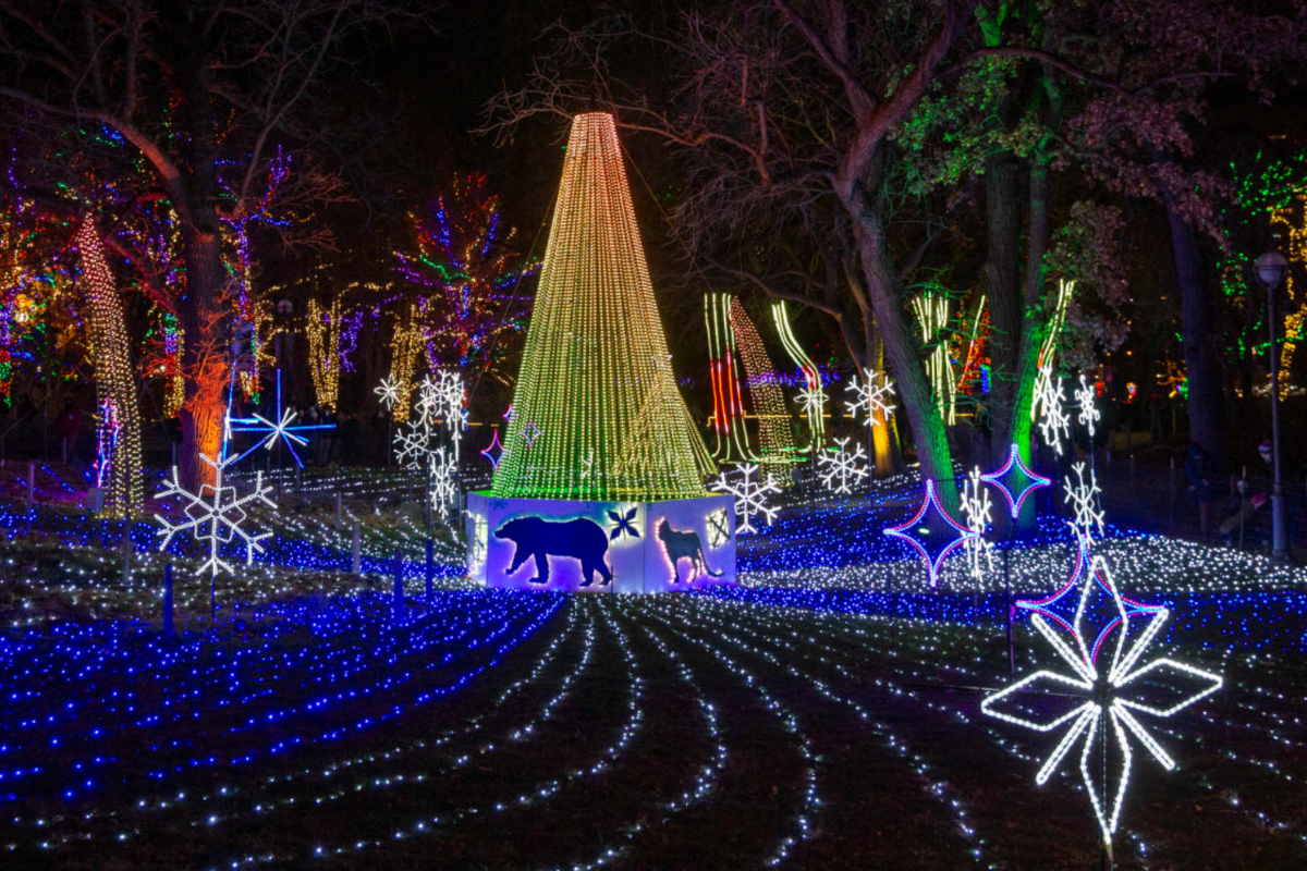 ZooLights Brings the Holiday Spirit to Lincoln Park Zoo | Lincoln