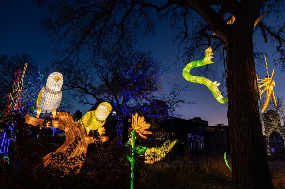 light displays at ZooLights