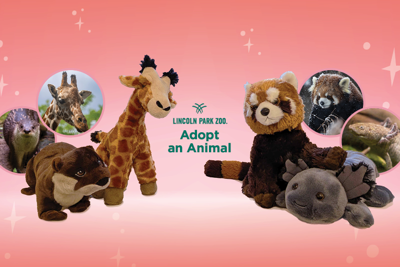 plushes and holiday adopt